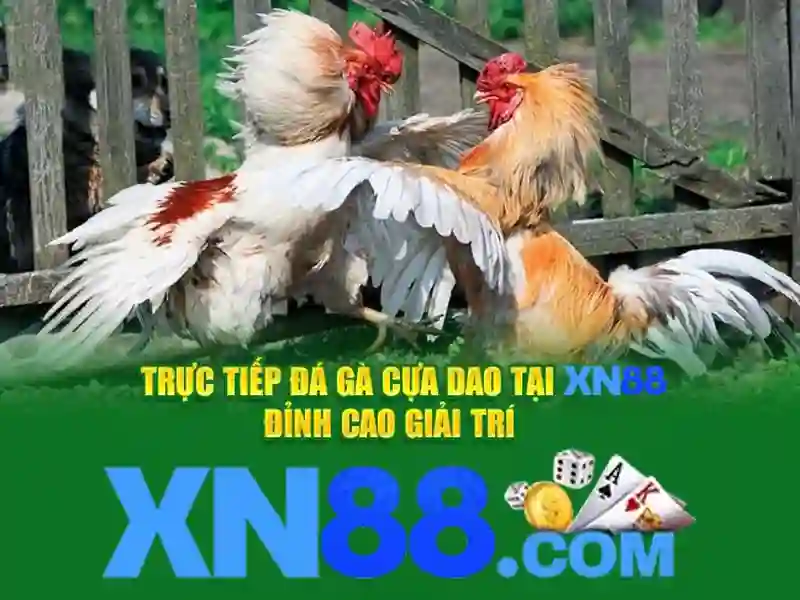 xn88 con – nguồn gốc và sứ mệnh